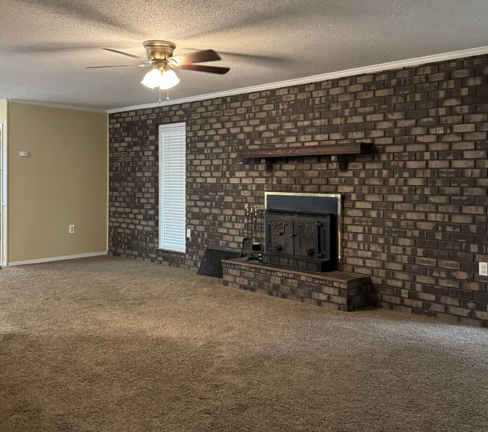 Den with fireplace with insert